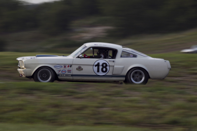 Phil Mulacek in his 1966 Ford Shelby GT350